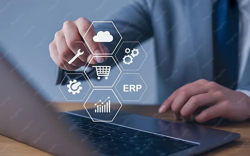 ERP & CRM Integration